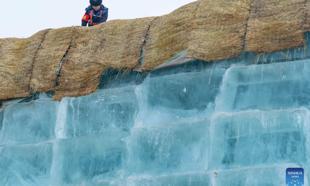 A staff member removes the covering on the ice cubes at an ice storage site for the Harbin Ice-Snow World in Harbin, northeast China's Heilongjiang Province, Nov. 24, 2025. The 27th edition of the Harbin Ice-Snow World, a renowned seasonal theme park in Harbin, will officially begin construction on Nov. 25 this year. (Xinhua/Xie Jianfei)