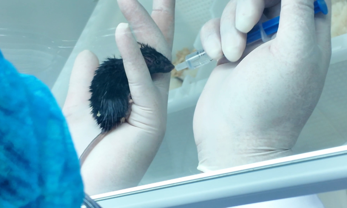 Photo: Coutesy of the Chinese Academy of Sciences (CAS)