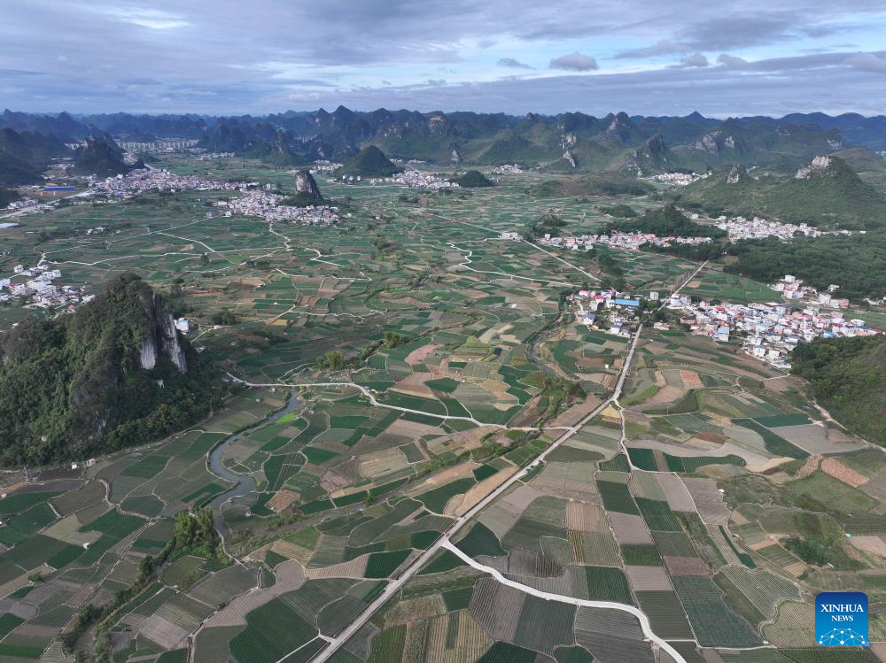 An aerial drone photo taken on Nov. 11, 2025 shows a chive planting demonstration base in Sandu Town of Liuzhou City, south China's Guangxi Zhuang Autonomous Region. Sandu Town has in recent years promoted the standardized and industrialized production of chives, and developed an integrated business system that ranges from planting and processing to sales and service.

To date, the planting area of chives in Sandu Town has topped 43,000 mu (about 2,867 hectares, multiple cropping included), with an annual output of approximately 100,000 metric tons. (Photo by Zheng Changhao/Xinhua)