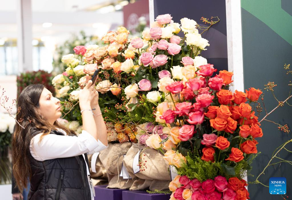 This photo taken on Nov. 4, 2025 shows a scene at the 2025 International Floriculture Trade Fair (IFTF) in Vijfhuizen, the Netherlands. The IFTF is an annual event in the Netherlands that brings together horticultural professionals, flower lovers and industry experts from around the world. Held from Nov. 4 to 6, this year's IFTF has attracted about 290 exhibitors from more than 30 countries and regions. (Photo by Sylvia Lederer/Xinhua)