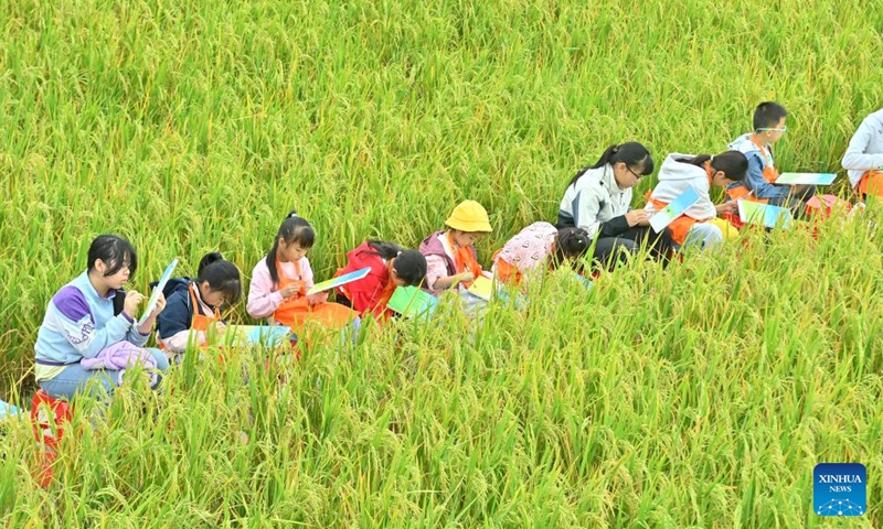 Children sketch in a field during a harvest celebration in Silang Village of Liuzhou, south China's Guangxi Zhuang Autonomous Region, Nov. 1, 2025. (Photo: Xinhua)