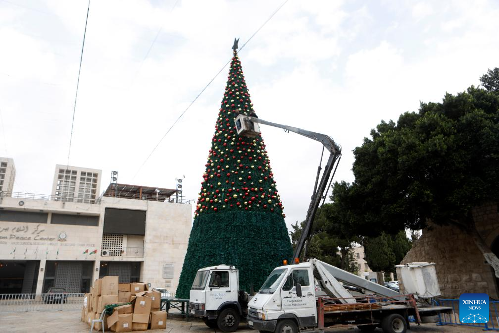 Photo taken on Nov. 25, 2025, shows the installation of a Christmas tree in the Manger Square in the West Bank city of Bethlehem before the Christmas season. The decorations and lighting are expected to be completed in the coming days, ahead of announcing this year's Christmas program. (Photo by Mamoun Wazwaz/Xinhua)
