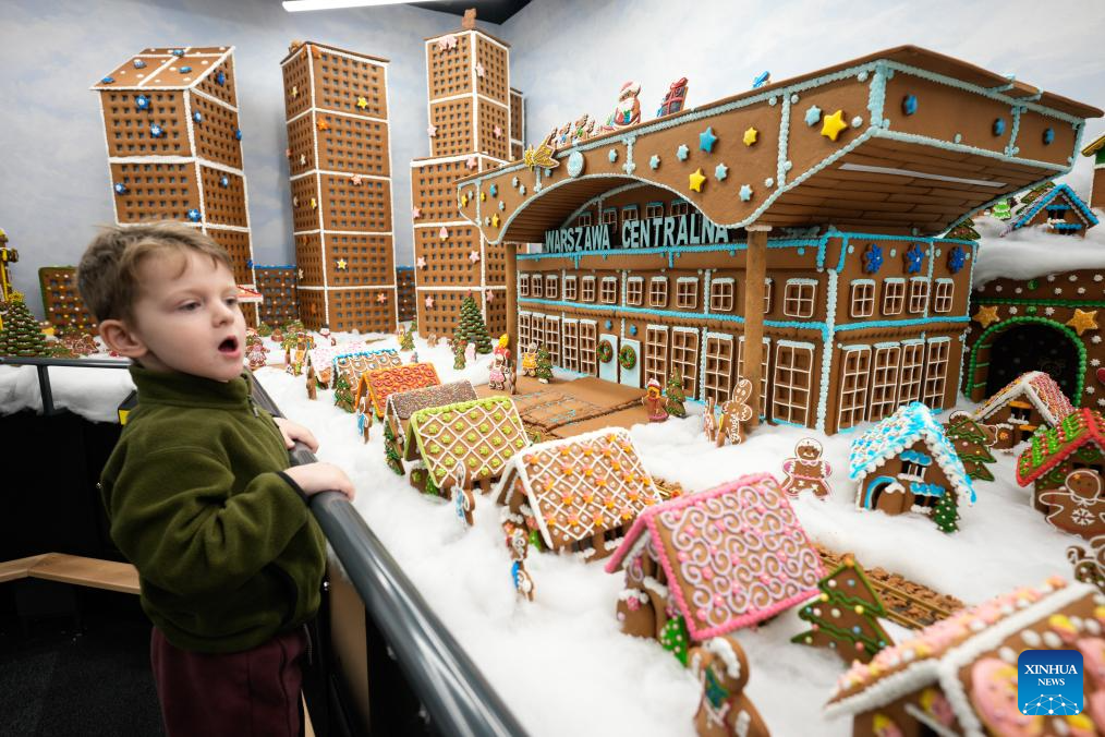 A boy observes models made from gingerbread and coloured sugar at the Gingerbread City exhibition in Warsaw, Poland, Nov. 19, 2025. (Photo by Jaap Arriens/Xinhua)