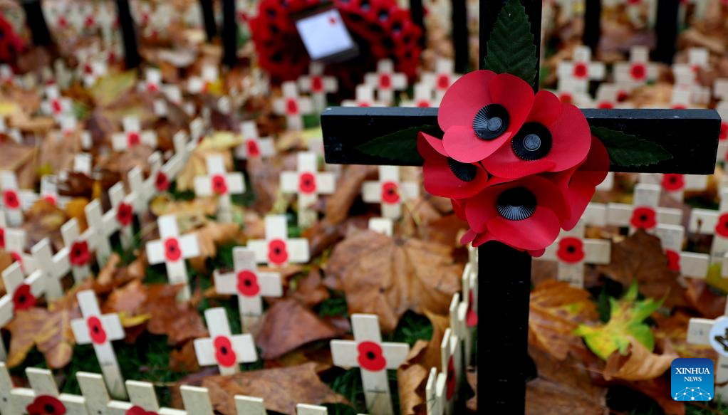 Poppy petals and crosses are seen at the Field of Remembrance on the occasion of Remembrance Day at Westminster Abbey in London, Britain, Nov. 10, 2025. Remembrance Day is observed to remember the sacrifices made by soldiers during the WWI, which ended on Nov. 11, 1918. (Xinhua/Li Ying)