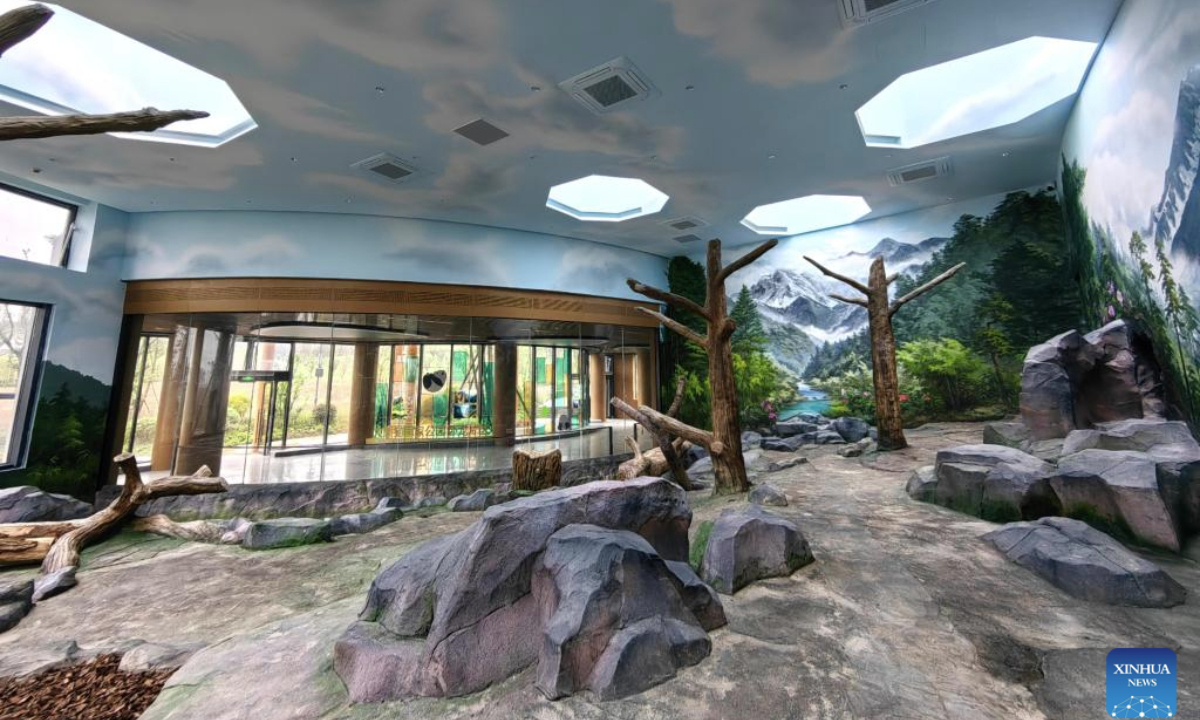 This photo taken on Nov. 4, 2025 shows an indoor venue for giant pandas at the Mianyang base of China Conservation and Research Center for the Giant Panda in Mianyang City, southwest China's Sichuan Province. The Mianyang base of China Conservation and Research Center for the Giant Panda, which took three years to build, was put into trial operation on Tuesday. Thirteen pandas from Wolong Shenshuping and Dujiangyan bases of China Conservation and Research Center for the Giant Panda moved into their new home at the newly opened Mianyang base on the day.

The Mianyang giant panda base, covering an area of about 120 hectares, is located at an ecological park in Mianyang City. The base boasts more than 50 sets of giant panda enclosures with beautiful environment and meeting the requirements of giant panda breeding. (Xinhua)