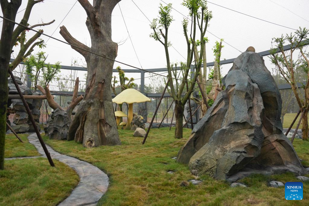 This photo taken on Nov. 4, 2025 shows a view of the Mianyang base of China Conservation and Research Center for the Giant Panda in Mianyang City, southwest China's Sichuan Province. The Mianyang base of China Conservation and Research Center for the Giant Panda, which took three years to build, was put into trial operation on Tuesday. Thirteen pandas from Wolong Shenshuping and Dujiangyan bases of China Conservation and Research Center for the Giant Panda moved into their new home at the newly opened Mianyang base on the day.

The Mianyang giant panda base, covering an area of about 120 hectares, is located at an ecological park in Mianyang City. The base boasts more than 50 sets of giant panda enclosures with beautiful environment and meeting the requirements of giant panda breeding. (Xinhua/Xu Bingjie)