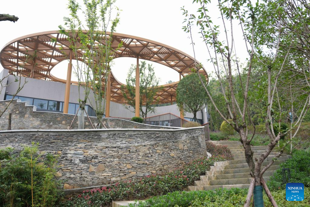 This photo taken on Nov. 4, 2025 shows a view of the Mianyang base of China Conservation and Research Center for the Giant Panda in Mianyang City, southwest China's Sichuan Province. The Mianyang base of China Conservation and Research Center for the Giant Panda, which took three years to build, was put into trial operation on Tuesday. Thirteen pandas from Wolong Shenshuping and Dujiangyan bases of China Conservation and Research Center for the Giant Panda moved into their new home at the newly opened Mianyang base on the day.

The Mianyang giant panda base, covering an area of about 120 hectares, is located at an ecological park in Mianyang City. The base boasts more than 50 sets of giant panda enclosures with beautiful environment and meeting the requirements of giant panda breeding. (Xinhua/Xu Bingjie)