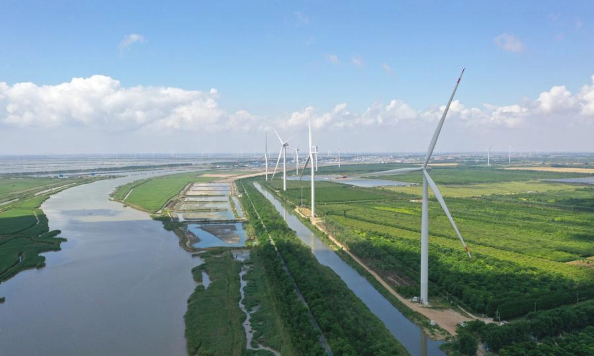 China's low-carbon development provides impetus for global climate action