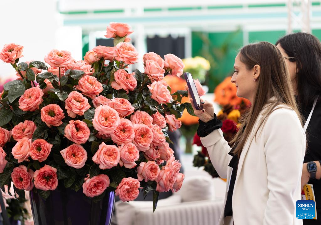 People visit the 2025 International Floriculture Trade Fair (IFTF) in Vijfhuizen, the Netherlands, Nov. 4, 2025. The IFTF is an annual event in the Netherlands that brings together horticultural professionals, flower lovers and industry experts from around the world. Held from Nov. 4 to 6, this year's IFTF has attracted about 290 exhibitors from more than 30 countries and regions. (Photo by Sylvia Lederer/Xinhua)