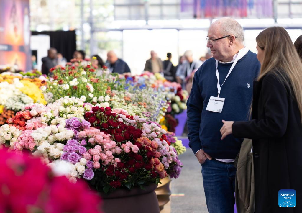 An exhibitor is seen at the 2025 International Floriculture Trade Fair (IFTF) in Vijfhuizen, the Netherlands, Nov. 4, 2025. The IFTF is an annual event in the Netherlands that brings together horticultural professionals, flower lovers and industry experts from around the world. Held from Nov. 4 to 6, this year's IFTF has attracted about 290 exhibitors from more than 30 countries and regions. (Photo by Sylvia Lederer/Xinhua)