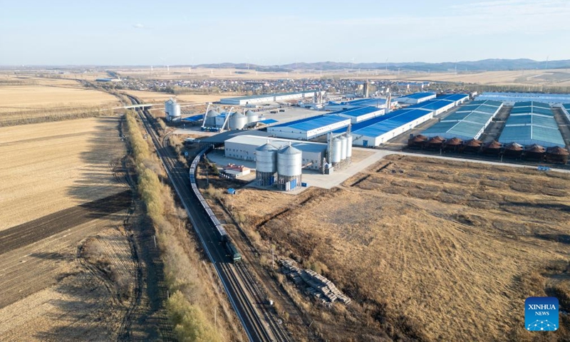 An aerial drone photo taken on Oct. 31, 2025 shows a freight train departing a logistics park of China's leading food trader China Oil and FoodStuffs Corporation in Shuangyashan City, northeast China's Heilongjiang Province. As Heilongjiang, one of China's major grain-producing province, has recently entered a busy period of grain transportation, China Railway Harbin Group Co., Ltd. has built an efficient and collaborative multimodal transport system, and established a connection mechanism with grain production enterprises in advance, to promote cost reduction, quality improvement and efficiency enhancement of the grain transportation. (Photo: Xinhua)
