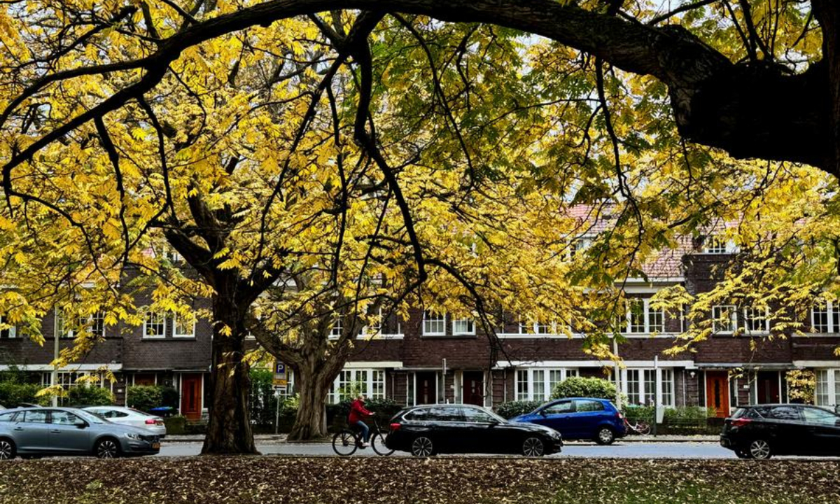 This photo taken on Nov. 2, 2025 shows the autumn scenery of the city of The Hague in the Netherlands. (Xinhua/Shao Haijun) 