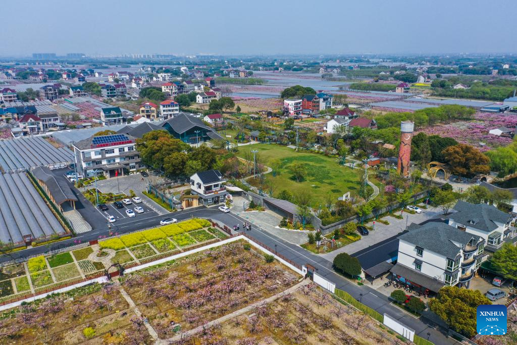A drone photo taken on March 26, 2025 shows a view in Sanxing Village of Fengqiao Town in Jiaxing City, east China's Zhejiang Province. In Zhejiang, the birthplace of the landmark Green Rural Revival Program, rural transformation over the past 22 years has evolved from merely improving living conditions to delivering common prosperity while building beautiful villages. Jiaxing City in Zhejiang has been consistently implementing the program to promote rural revitalization. (Xinhua/Xu Yu)