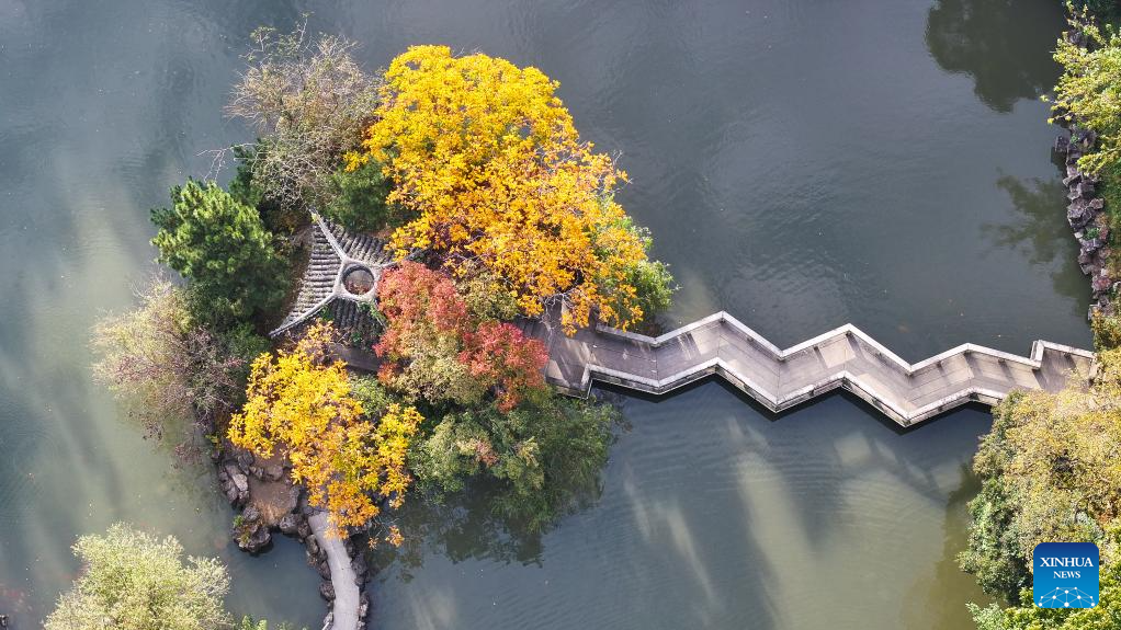 This aerial drone photo taken on Nov. 11, 2025 shows the scenery at the Slender West Lake scenic spot in Yangzhou, east China's Jiangsu Province. (Photo by Qi Liguang/Xinhua)