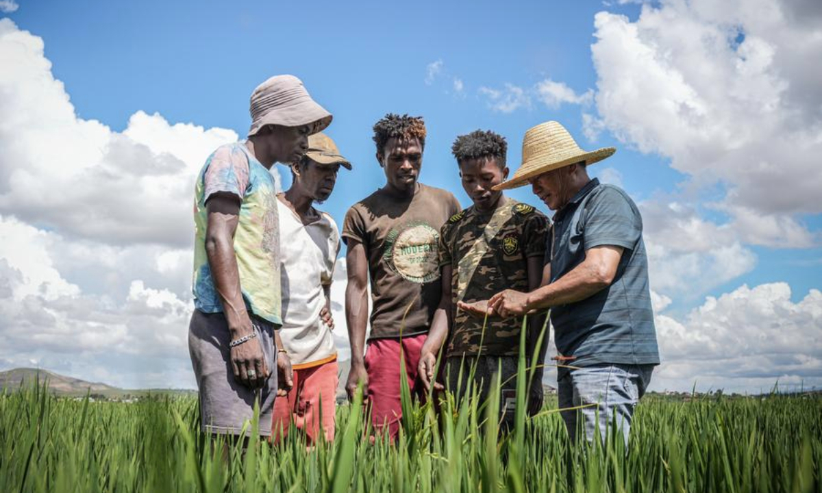 Chinese agronomist Hu Yuefang explains the growth of rice to local farmers at the China Hybrid Rice High-Yield Demonstration Base near Antananarivo, Madagascar, March 25, 2025. (Xinhua/Li Yahui)