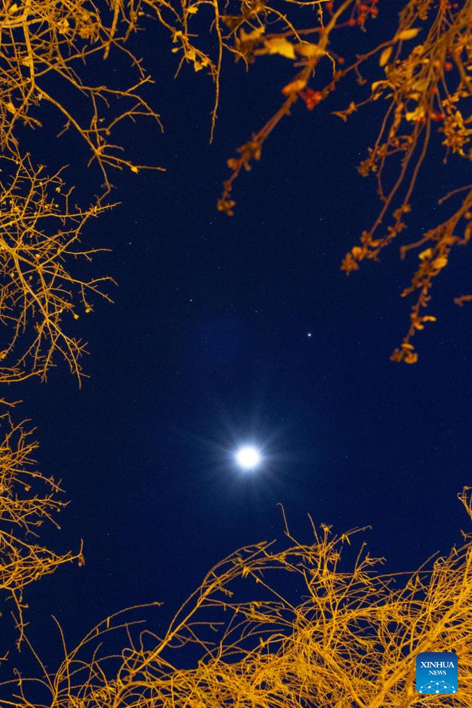 This photo taken on Nov. 11, 2025 shows a celestial scene where the moon is accompanied by Jupiter and Pollux, the brightest star in the constellation Gemini, in Fujin City, northeast China's Heilongjiang Province. (Photo by Qu Yubao/Xinhua)