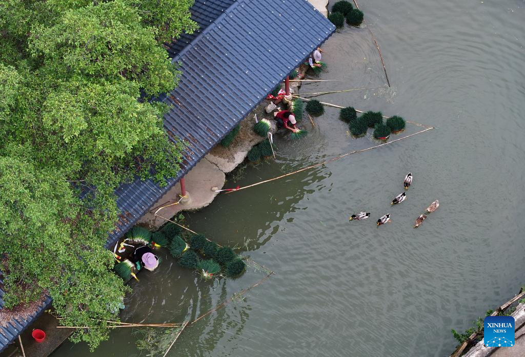 An aerial drone photo taken on Oct. 21, 2025 shows villagers cleaning harvested chives in Jueshan Village of Sandu Town in Liuzhou City, south China's Guangxi Zhuang Autonomous Region. Sandu Town has in recent years promoted the standardized and industrialized production of chives, and developed an integrated business system that ranges from planting and processing to sales and service.

To date, the planting area of chives in Sandu Town has topped 43,000 mu (about 2,867 hectares, multiple cropping included), with an annual output of approximately 100,000 metric tons. (Photo by Zheng Changhao/Xinhua)
