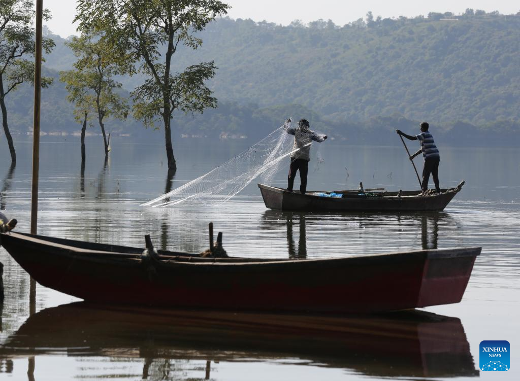 Fishermen cast their fishing net in Phangota Lake, in Pathankot district of India's northern Punjab state, Nov. 12, 2025. (Str/Xinhua)