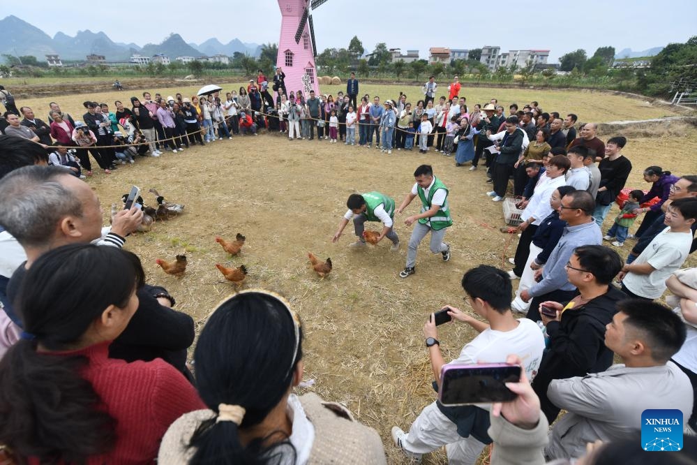 People participate in a chicken and duck catching contest during a harvest celebration in Silang Village of Liuzhou, south China's Guangxi Zhuang Autonomous Region, Nov. 1, 2025. (Photo: Xinhua)