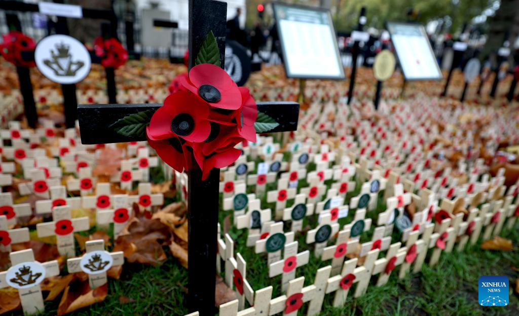 Poppy petals and crosses are seen at the Field of Remembrance on the occasion of Remembrance Day at Westminster Abbey in London, Britain, Nov. 10, 2025. Remembrance Day is observed to remember the sacrifices made by soldiers during the WWI, which ended on Nov. 11, 1918. (Xinhua/Li Ying)