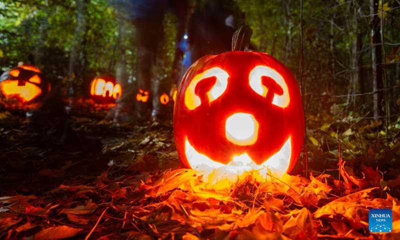 Jack-O-Lanterns are seen during a pumpkin parade event in a park in Mississauga, Ontario, Canada, on Nov. 1, 2025. (Photo: Xinhua)