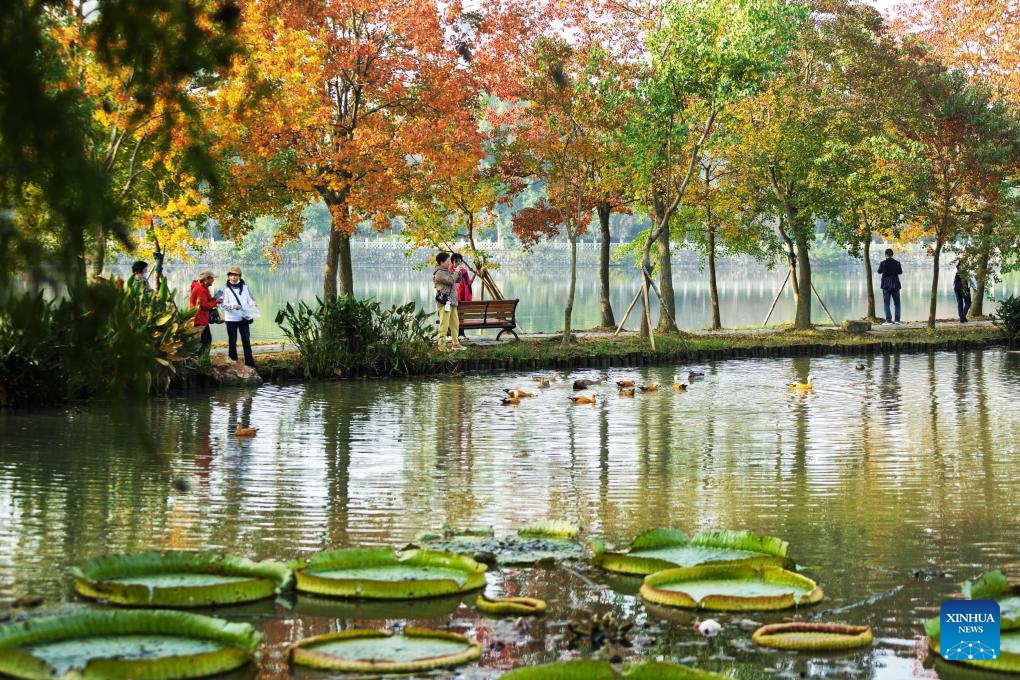 People enjoy autumn scenery at Nanjing Zhongshan Botanical Garden in Nanjing, east China's Jiangsu Province, Nov. 2, 2025. (Photo: Xinhua)