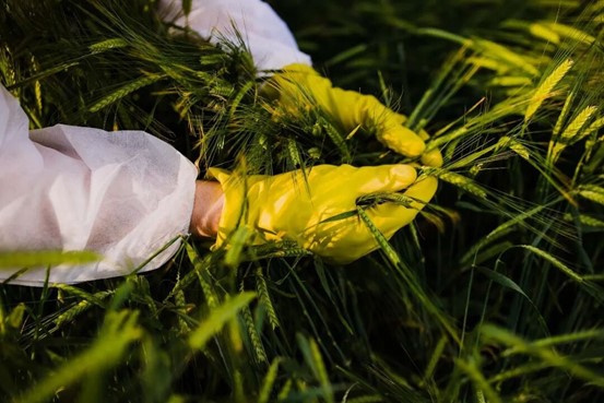 Photo: Courtesy of China's Ministry of State Security