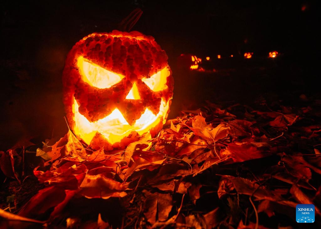 A Jack-O-Lantern is seen during a pumpkin parade event in a park in Mississauga, Ontario, Canada, on Nov. 1, 2025. (Photo: Xinhua)