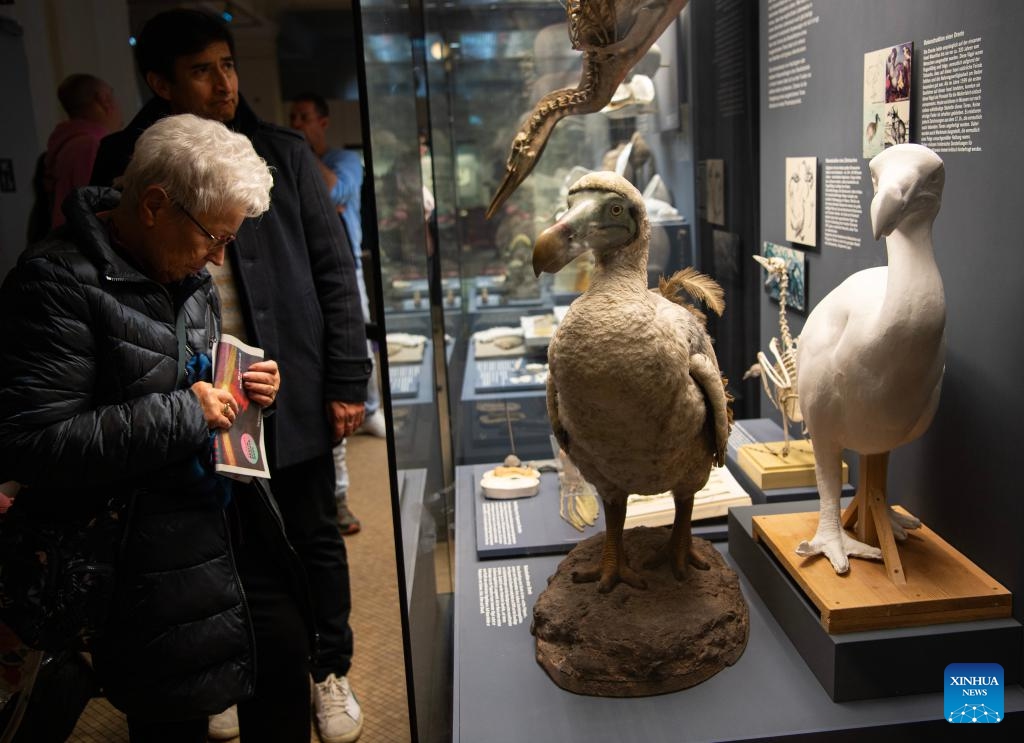 People visit the Museum of Natural History in Berlin, Germany, Nov. 1, 2025. The Museum of Natural History is open for free from Saturday to Sunday as the Berlin Science Week CAMPUS. Activities including live talks, workshops, exhibitions are carried out during the two-day event. (Photo: Xinhua)