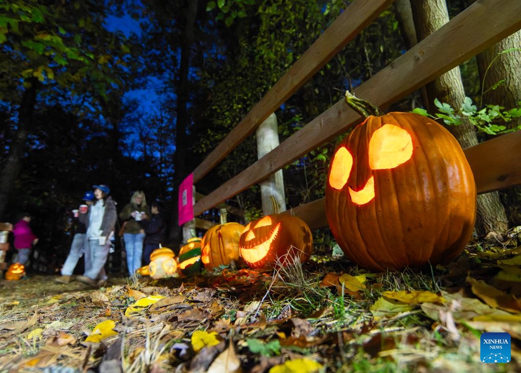 People look at Jack-O-Lanterns during a pumpkin parade event in a park in Mississauga, Ontario, Canada, on Nov. 1, 2025. (Photo: Xinhua)