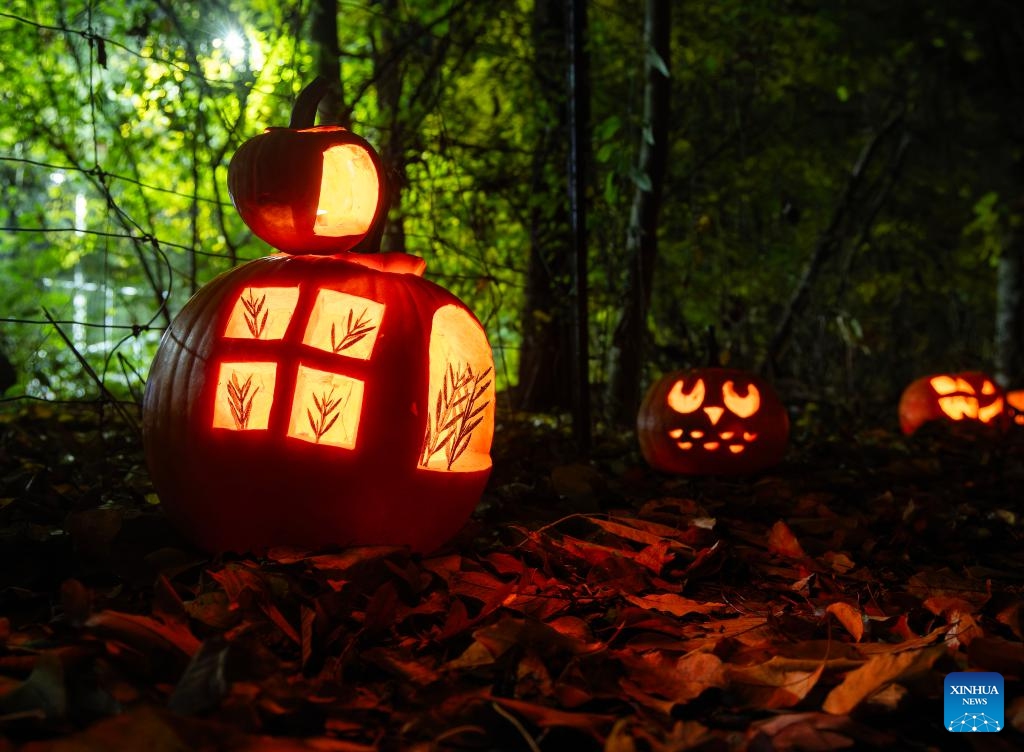 Jack-O-Lanterns are seen during a pumpkin parade event in a park in Mississauga, Ontario, Canada, on Nov. 1, 2025. (Photo: Xinhua)