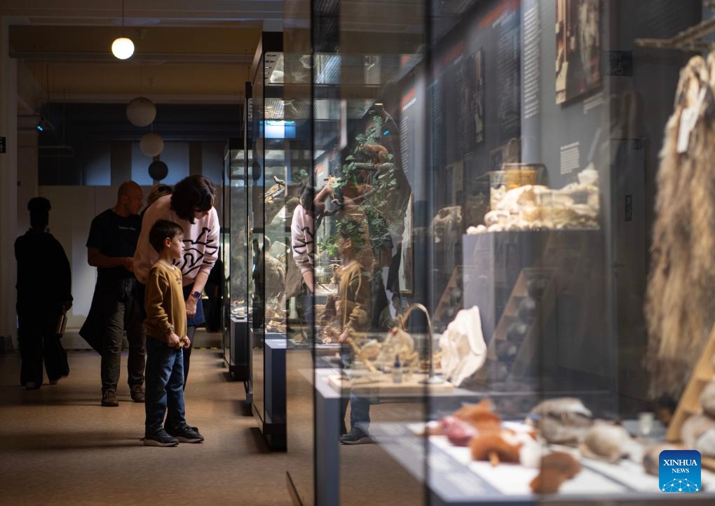 People visit the Museum of Natural History in Berlin, Germany, Nov. 1, 2025. The Museum of Natural History is open for free from Saturday to Sunday as the Berlin Science Week CAMPUS. Activities including live talks, workshops, exhibitions are carried out during the two-day event. (Photo: Xinhua)