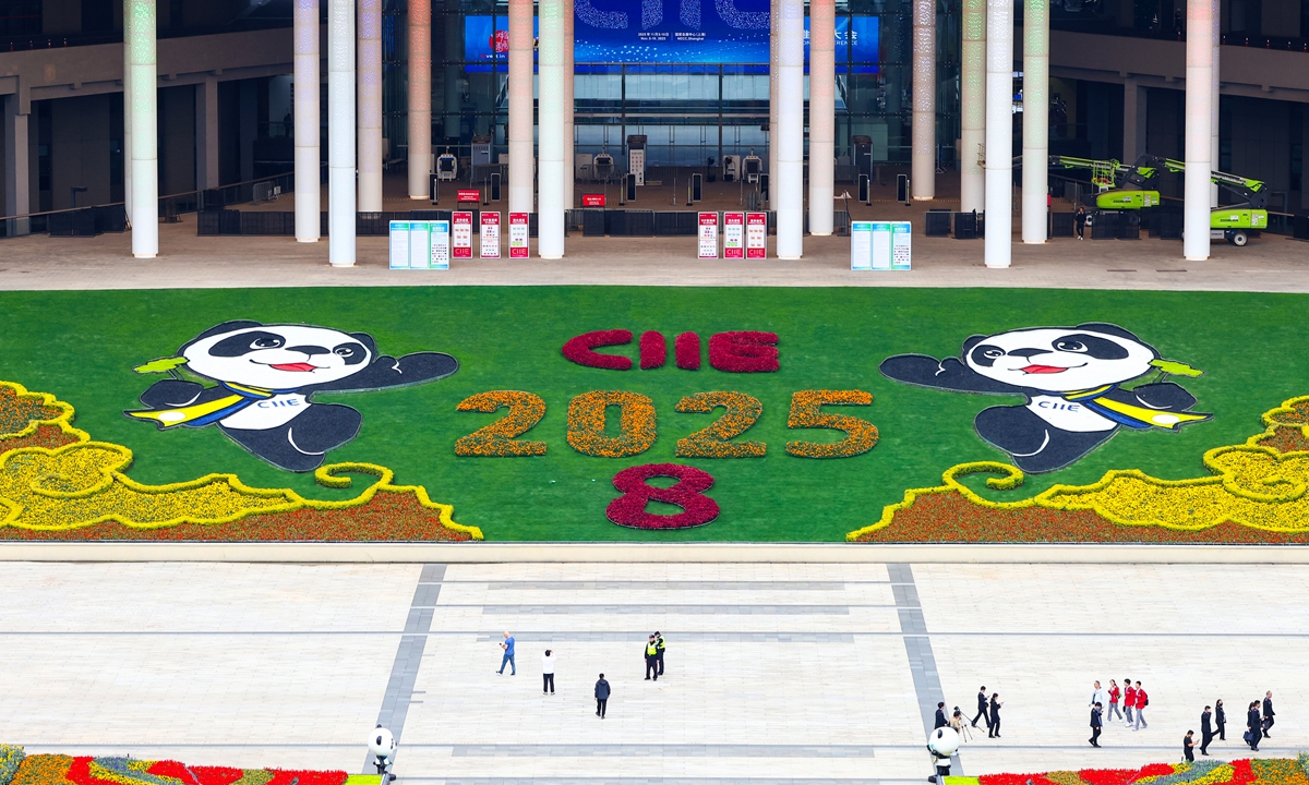 Swedish chamber bullish on Chinese market, as Sweden moves into CIIE spotlight, eyes deeper co-op in green sectors