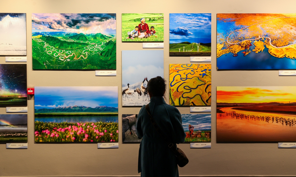 A visitor explores works during a photography exhibition at the Qinghai Provincial Museum in Xining, Qinghai Province on November 4, 2025. The exhibition brings together works by photographers from the nine provinces and autonomous regions along the Yellow River, focusing on the achievements in the systematic governance of mountains, rivers, forests, farmlands, lakes, grasslands and deserts in the Yellow River Basin. Photo: VCG