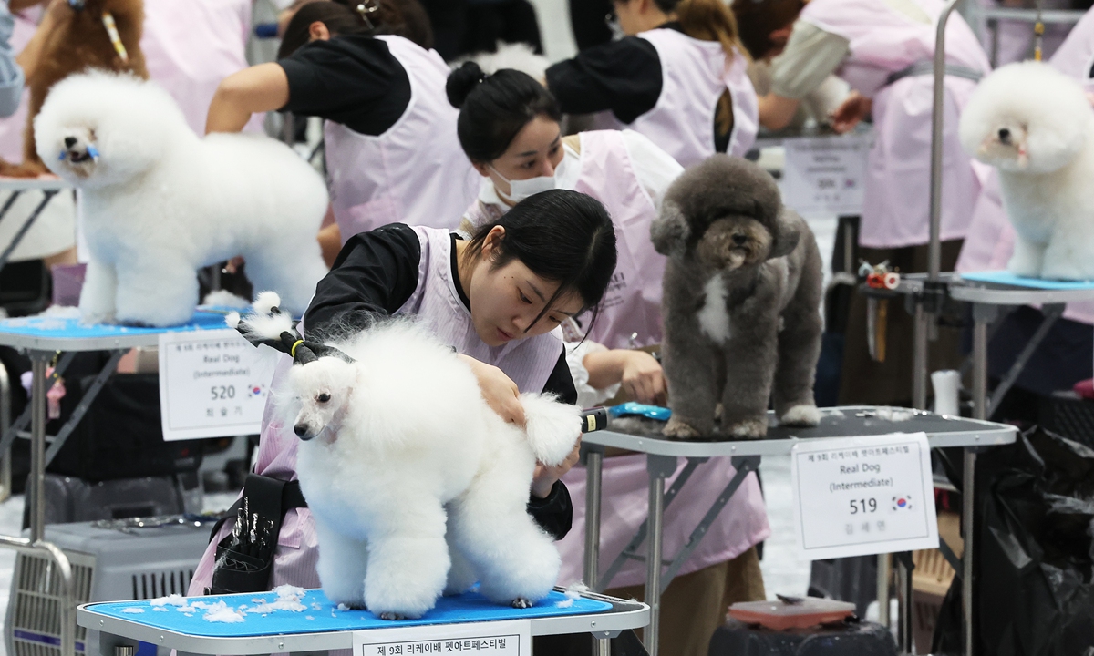Participants showcase their pet grooming skills at a pet art festival in Suwon, South Korea on November 4, 2025. Photo: VCG