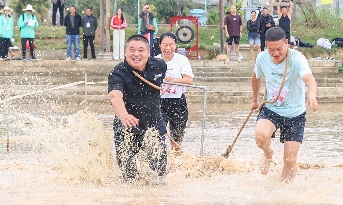 Contestants pull a wooden roller through a paddy field during a national farming fitness game on November 5, 2025 in Yichun, East China's Jiangxi Province. Photo: VCG