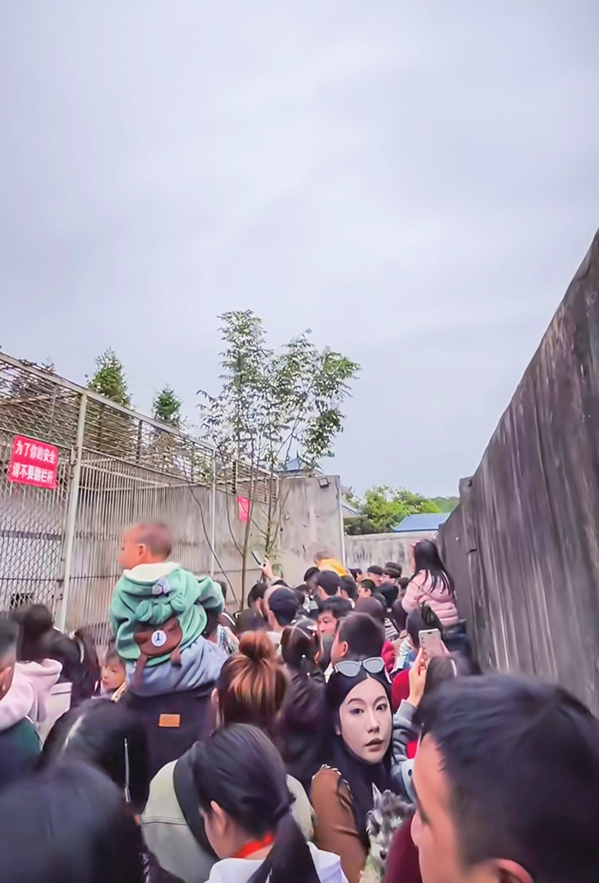Visitors flock to the Kaili Zoo in Southwest China's Guizhou Province on November 1, 2025. Photo: Courtesy of Feng Yuanyong