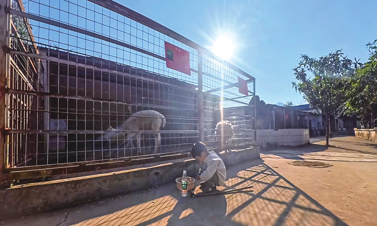 A boy checks peanuts and snacks offered to feed the animals in the Kaili Zoo in the Qiandongnan Miao and Dong autonomous prefecture, Southwest China's Guizhou Province, on October 28, 2025. Photo: Courtesy of Wu Jianbin 