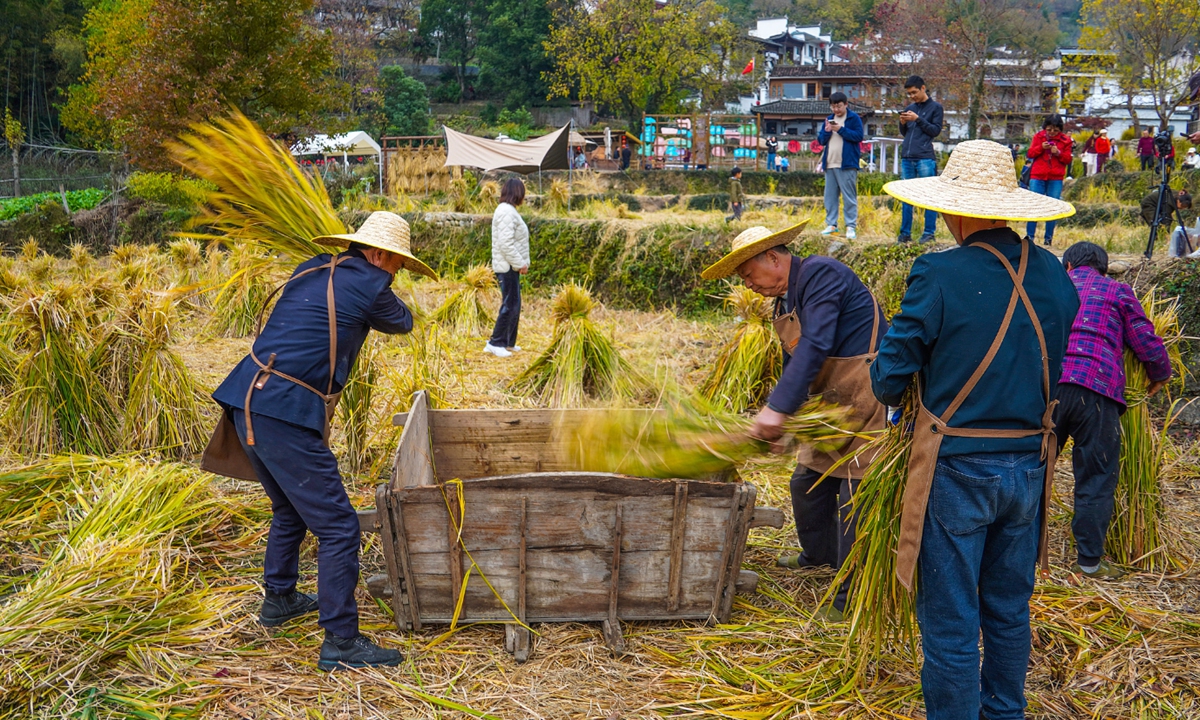 Farmers arrange sheaves of grain in Yixian county, East China's Anhui Province. Photo: VCG