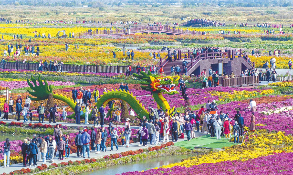 Tourists enjoy chrysanthemum blooms at a local scenic area in Xinghua, East China's Jiangsu Province on November 6, 2025. Photo: VCG