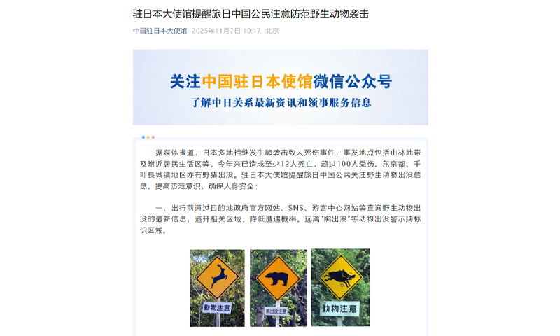 Chinese Embassy warns Chinese nationals in Japan to remain vigilant after surge in bear attacks