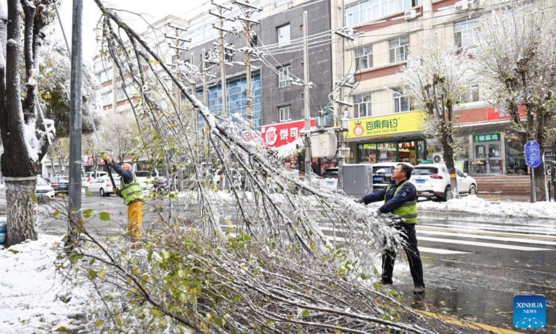 Workers saw off a tree branch that was about to break due to accumulation of snow in Urumqi, northwest China's Xinjiang Uygur Autonomous Region, Nov. 6, 2025. A blizzard has swept across many parts of northwest China's Xinjiang Uygur Autonomous Region since Wednesday, disrupting traffic in several areas and setting a new precipitation record in the regional capital, Urumqi. Photo: Xinhua