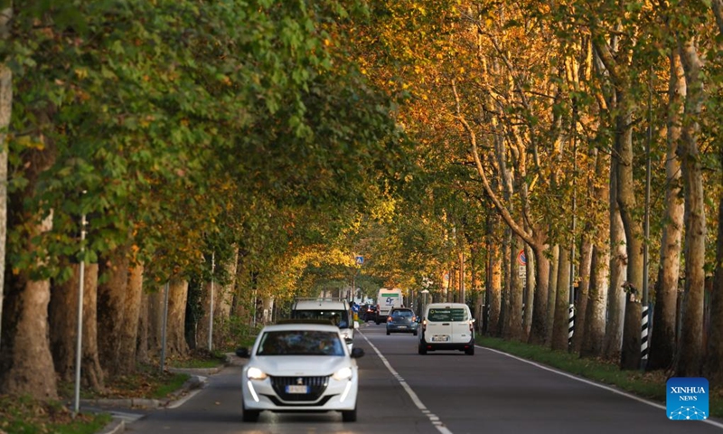 This photo taken on Nov. 4, 2025 shows the autumn scenery in Milan, Italy. Photo: Xinhua
