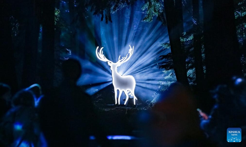 People view a light show during a media preview of the Harry Potter: A Forbidden Forest Experience at Stanley Park in Vancouver, British Columbia, Canada, Nov. 6, 2025. The immersive outdoor event allows visitors to explore a themed trail inspired by the Forbidden Forest from the Harry Potter films. Through virtual reality effects and lighting installations, the woodland is transformed into a magical pathway featuring mystical creatures, interactive displays, and a themed village. The event made its Canadian debut in Vancouver on Nov. 7 and run until Dec. 7. Photo: Xinhua