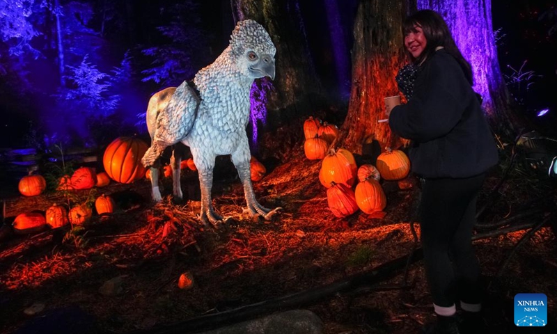 A woman interacts with an installation during a media preview of the Harry Potter: A Forbidden Forest Experience at Stanley Park in Vancouver, British Columbia, Canada, Nov. 6, 2025. The immersive outdoor event allows visitors to explore a themed trail inspired by the Forbidden Forest from the Harry Potter films. Through virtual reality effects and lighting installations, the woodland is transformed into a magical pathway featuring mystical creatures, interactive displays, and a themed village. The event made its Canadian debut in Vancouver on Nov. 7 and run until Dec. 7. Photo: Xinhua