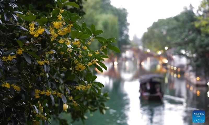 This photo taken on Nov. 5, 2025 shows a view of the Xizha scenic area near the Wuzhen Internet International Exhibition & Convention Center, a venue of the 2025 World Internet Conference Wuzhen Summit, in Wuzhen, east China's Zhejiang Province. The 2025 World Internet Conference Wuzhen Summit kicked off here on Thursday, with a focus on building a community with a shared future in cyberspace, according to its organizers. Photo: Xinhua