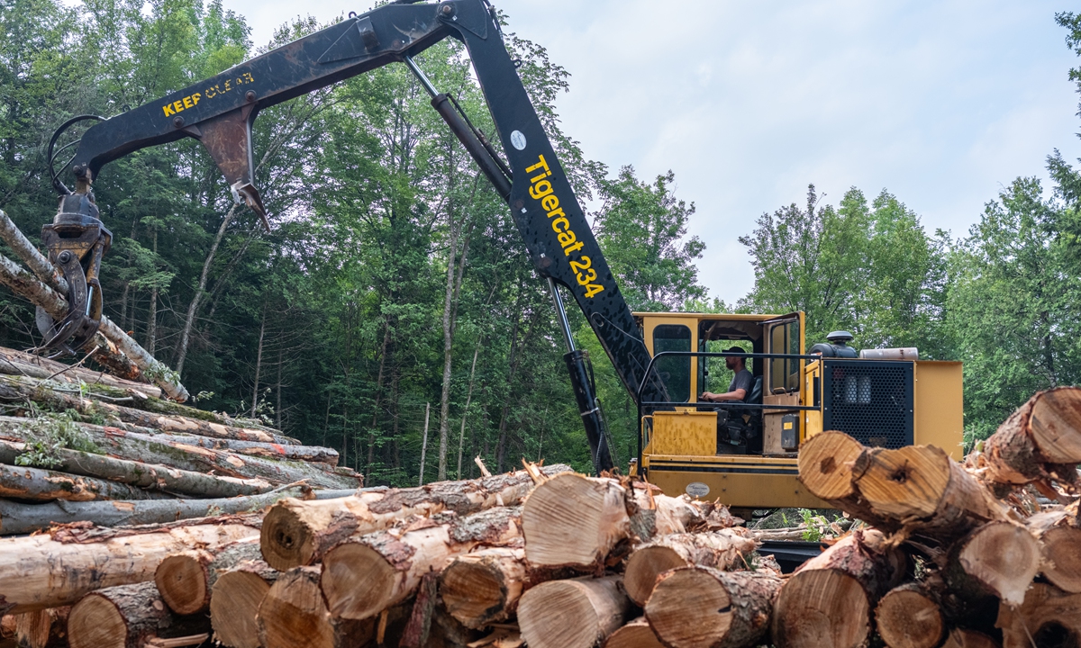 Cale Pelland operates a log loader to move hardwood logs that will be cut and split into firewood August 7 2025 in Monkton, Vermont, US. Photo: VCG
