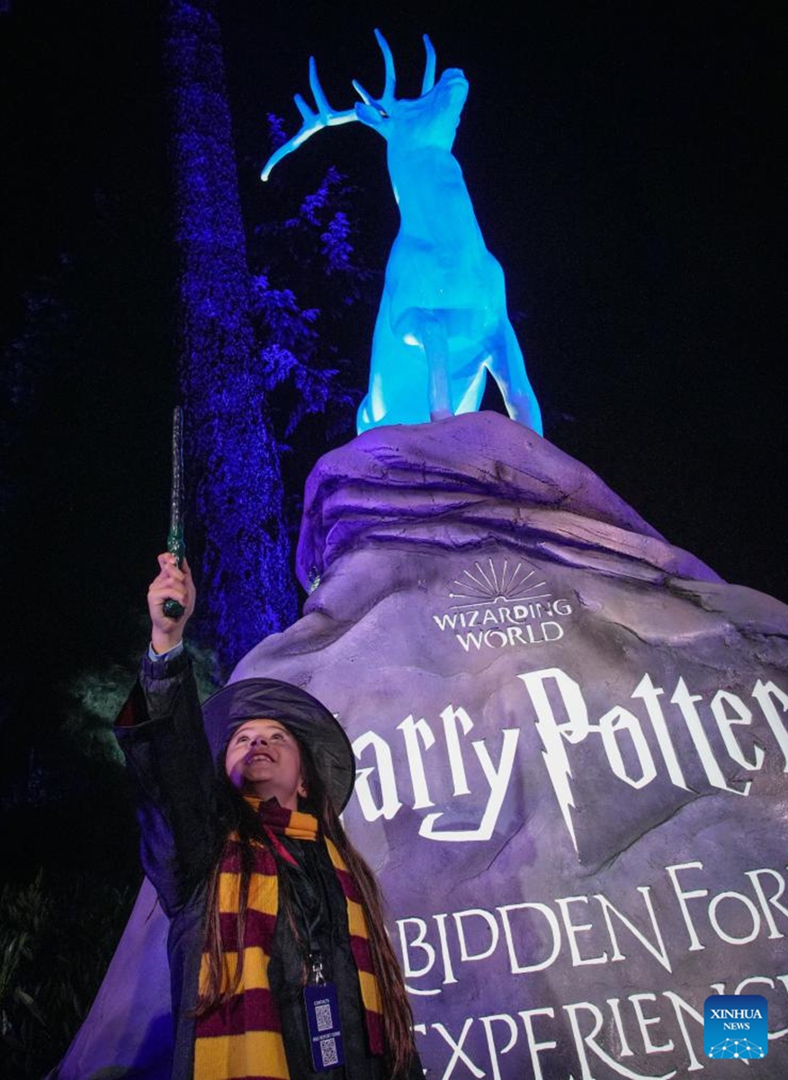 A girl poses for a photo in front of an installation during a media preview of the Harry Potter: A Forbidden Forest Experience at Stanley Park in Vancouver, British Columbia, Canada, Nov. 6, 2025. The immersive outdoor event allows visitors to explore a themed trail inspired by the Forbidden Forest from the Harry Potter films. Through virtual reality effects and lighting installations, the woodland is transformed into a magical pathway featuring mystical creatures, interactive displays, and a themed village. The event made its Canadian debut in Vancouver on Nov. 7 and run until Dec. 7. Photo: Xinhua