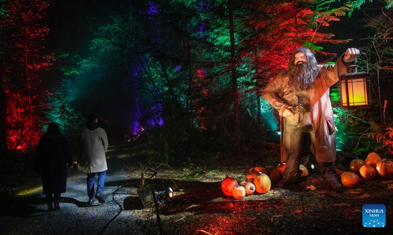People view an interactive display during a media preview of the Harry Potter: A Forbidden Forest Experience at Stanley Park in Vancouver, British Columbia, Canada, Nov. 6, 2025. The immersive outdoor event allows visitors to explore a themed trail inspired by the Forbidden Forest from the Harry Potter films. Through virtual reality effects and lighting installations, the woodland is transformed into a magical pathway featuring mystical creatures, interactive displays, and a themed village. The event made its Canadian debut in Vancouver on Nov. 7 and run until Dec. 7. Photo: Xinhua