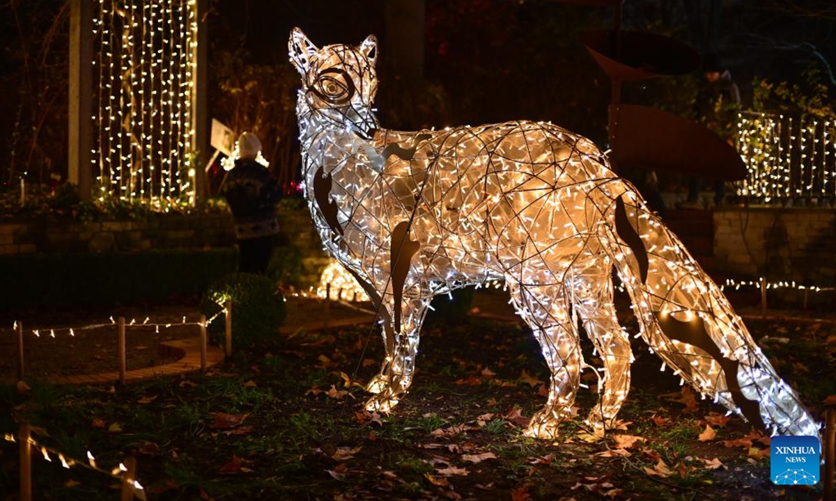 A light installation is seen at the Magical Botanical Garden light show at the University of Warsaw Botanical Garden in Warsaw, Poland on Nov. 8, 2025.
The show opened here Saturday night and will run through mid-February 2026. (Photo by Aleksy Witwicki/Xinhua)